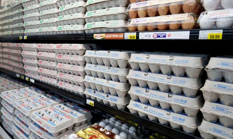 Ціни на яйця у США напередодні Великодня оновили рекорд