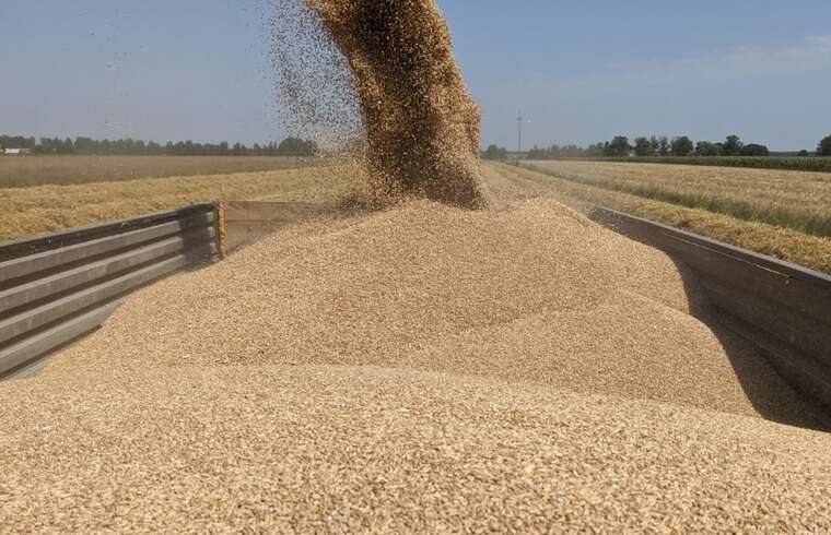 ВАКС визнав колишню директорку ДП «Червоний землероб» винною в розкраданні зерна