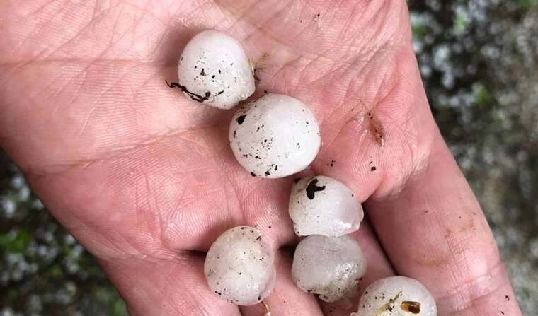 Град розміром із перепелине яйце вдарив по Яремче