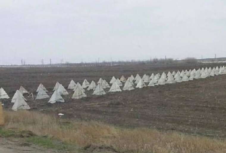 Российские оккупанты строят новую линию укреплений на северо-западе захваченного Мариупольского района