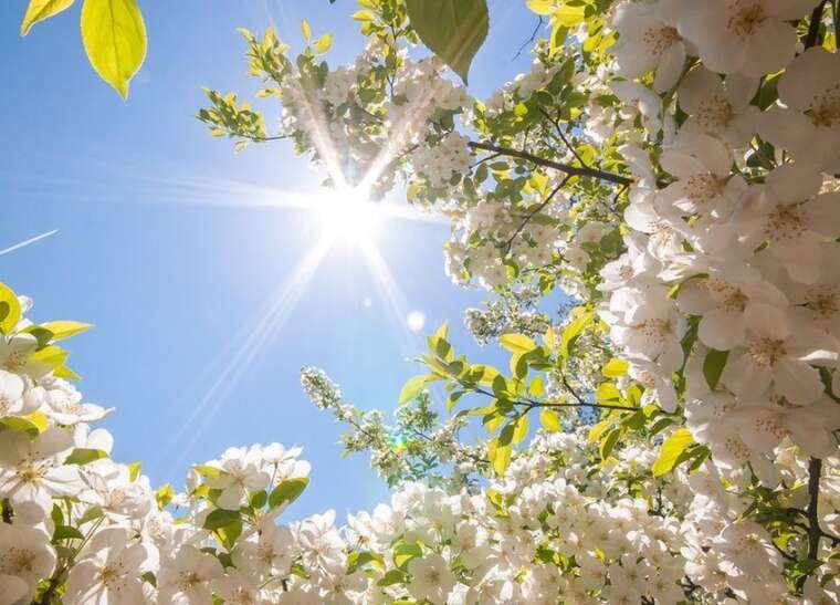 Завтра в Україні очікується потепління до +27