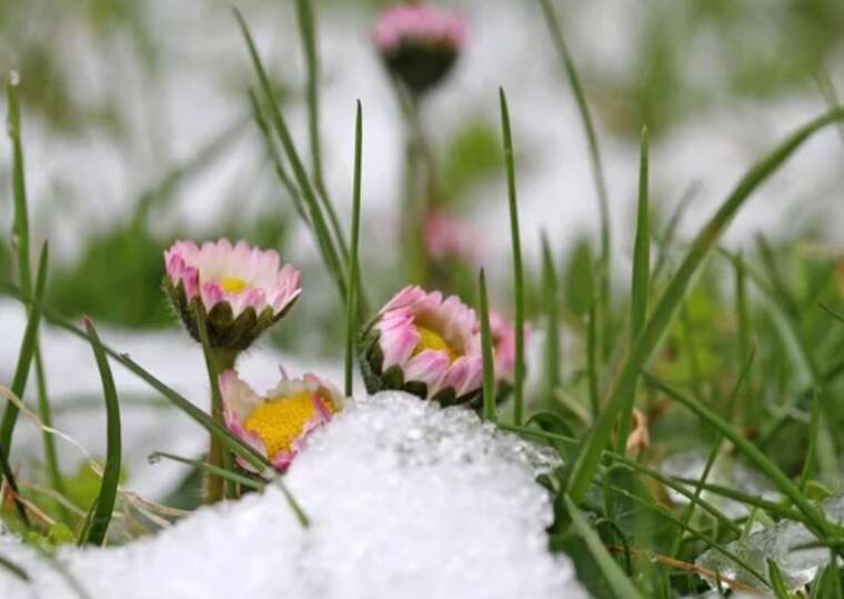 В Харькове и Сумах наблюдали снег