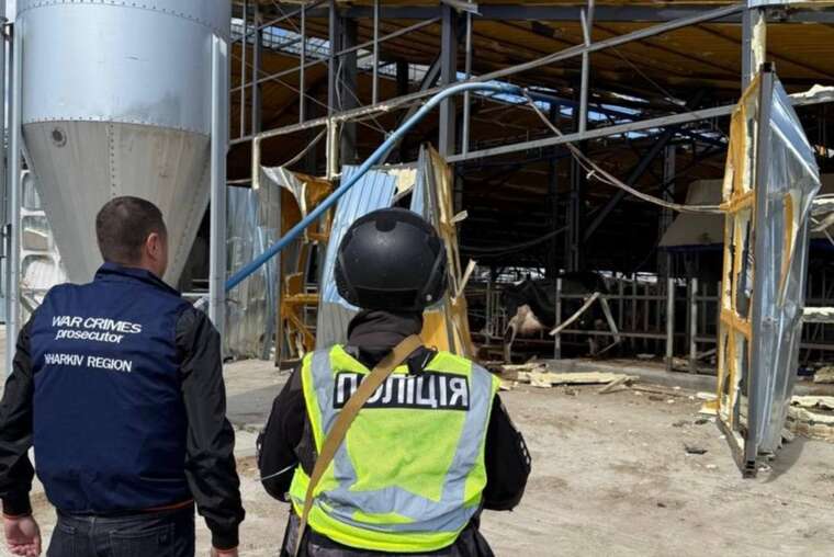 На Харківщині російські дрони атакували ферму: загинули 30 корів