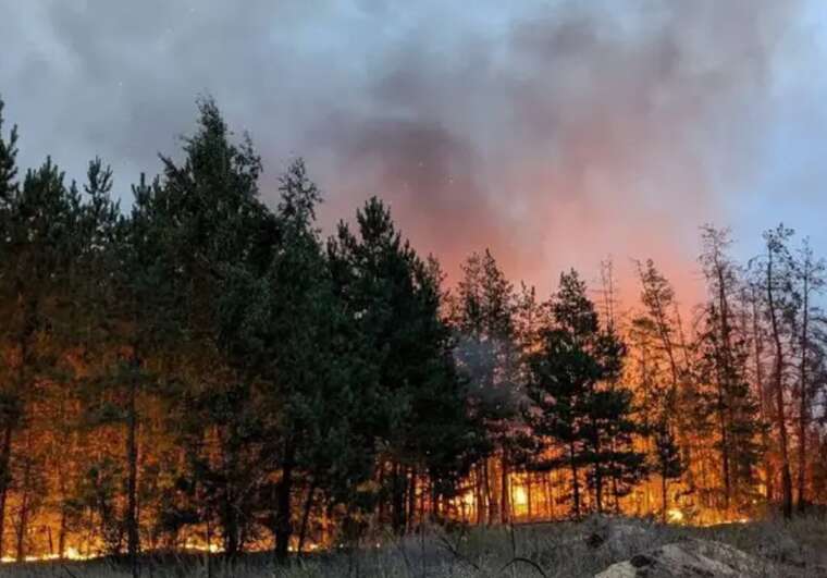 Масштабна лісова пожежа в Харківській області: влада готує евакуацію