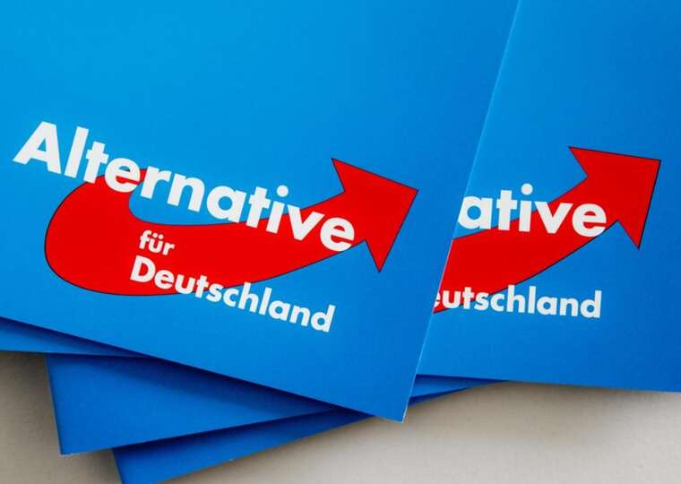 Майже половина німців підтримують заборону праворадикальної партії "Альтернатива для Німеччини" — опитування