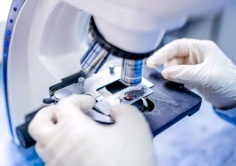 Трамп заборонив фінансування досліджень небезпечних вірусів за кордоном - CNN