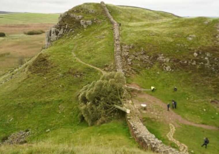 В Великобритании двух мужчин признали виновными в уничтожении знаменитого "дерева Робин Гуда"