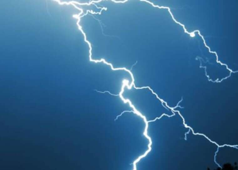 На юге Франции молния ударила в зоопарк, есть 13 пострадавших