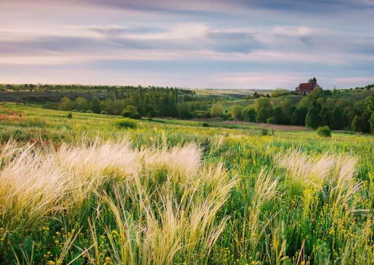 Украина контролирует Вольное Поле в Донецкой области: в ВСУ опровергли фейк РФ