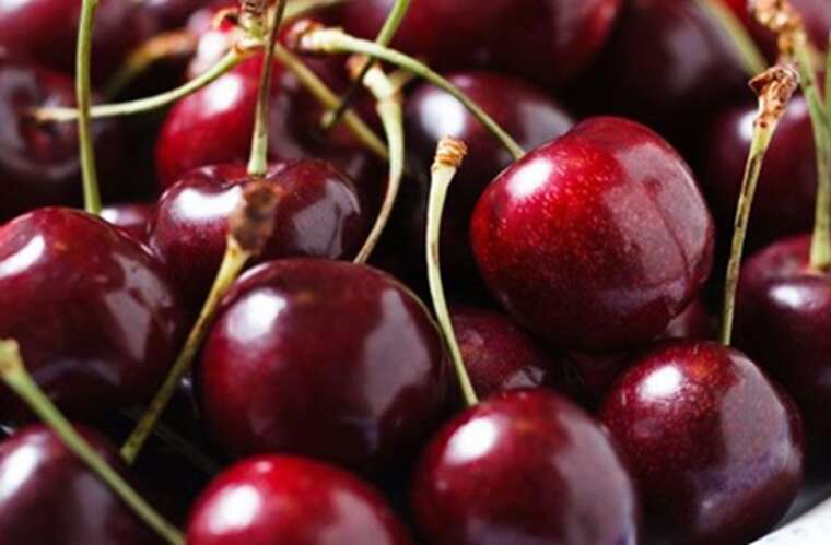 В Україні втрачено до 50% врожаїв: влітку назріває дефіцит популярних ягід