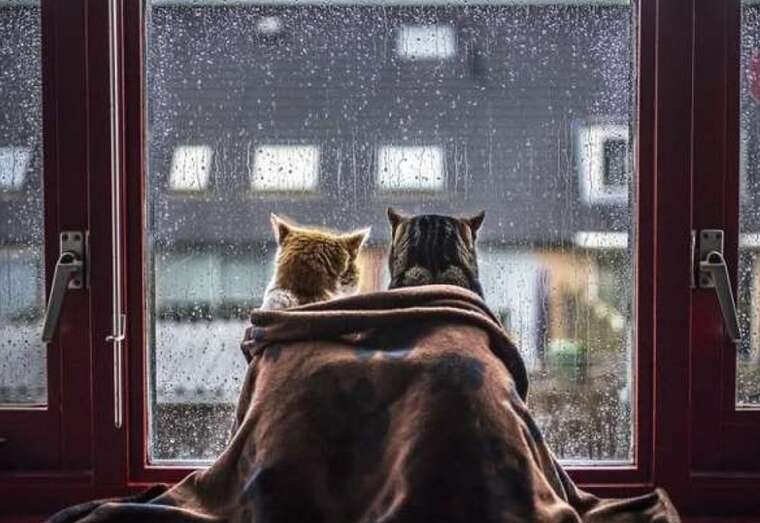 В Україні очікується похолодання з дощами, - синоптик