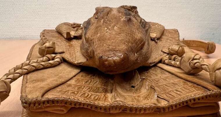 Українець привіз до Німеччини сумку з головою крокодила - отримав кримінальну справу