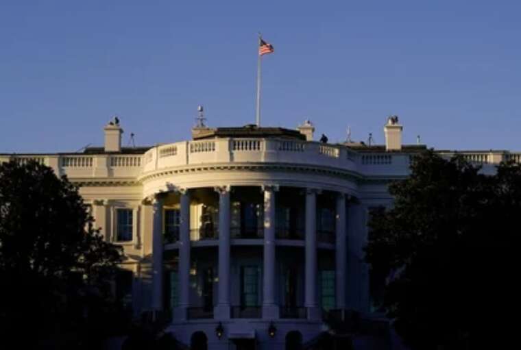    ³       ,  Politico