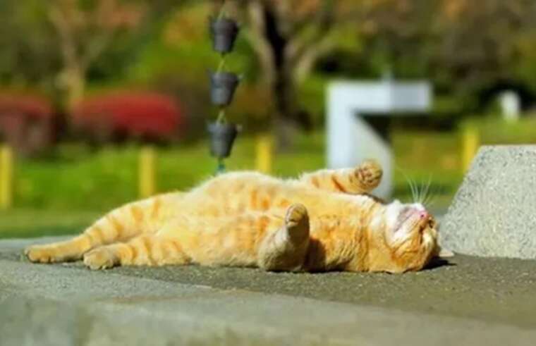 В Украину надвигается жара +40