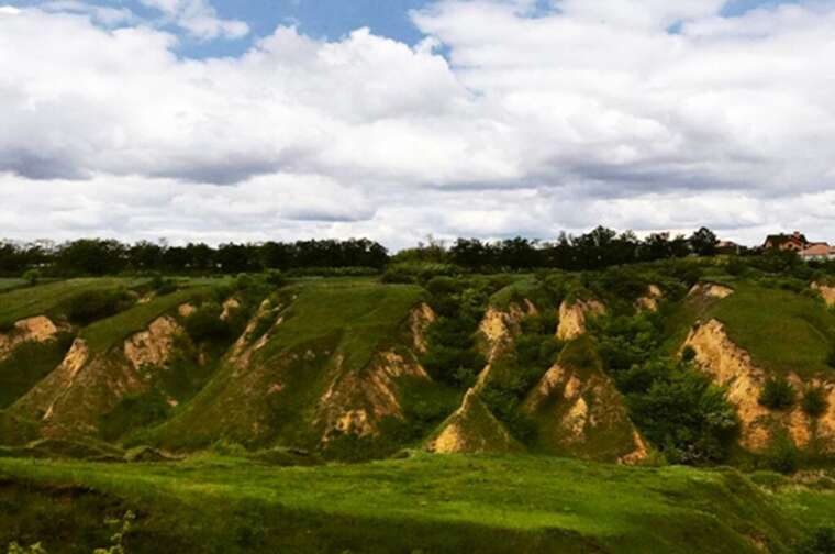 Дніпропетровський скандал: Корупційні схеми навколо ТОВ "Будекопарк" та незаконне використання лісових земель