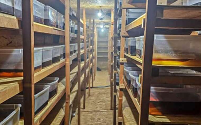 У  польському Лодзі викрили лабораторії з виробництва синтетичних наркотиків