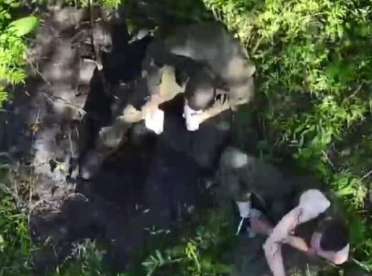 In the Kharkiv region, border guards captured occupiers with the help of a drone