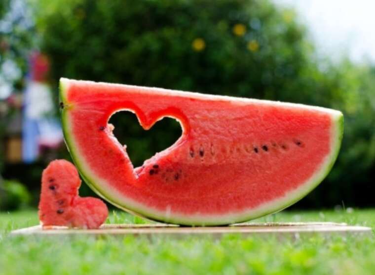 Фермеры собрали первые 500 тонн херсонских арбузов