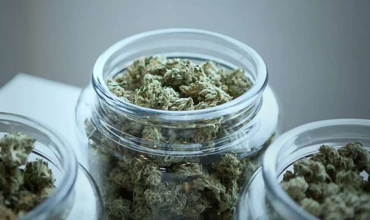 У Чехії частково декриміналізували канабіс