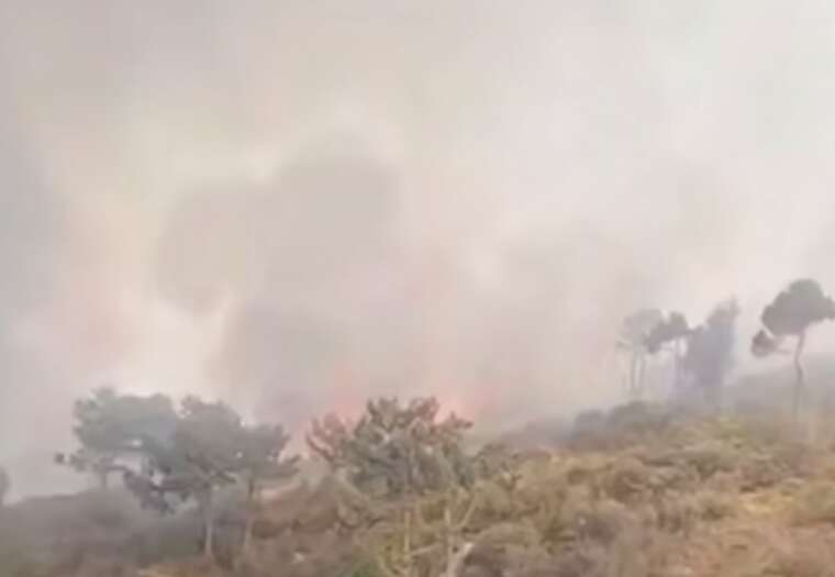 В окупованому Криму масштабна пожежа вздовж шосе Євпаторія - Сімферополь, — росЗМІ