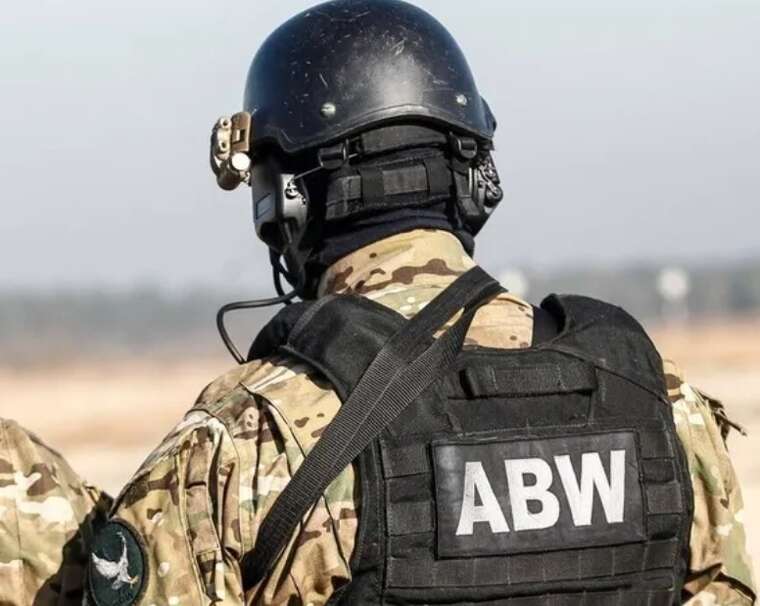 Польща звинуватила громадянку України у відправленні посилки з вибуховим пристроєм