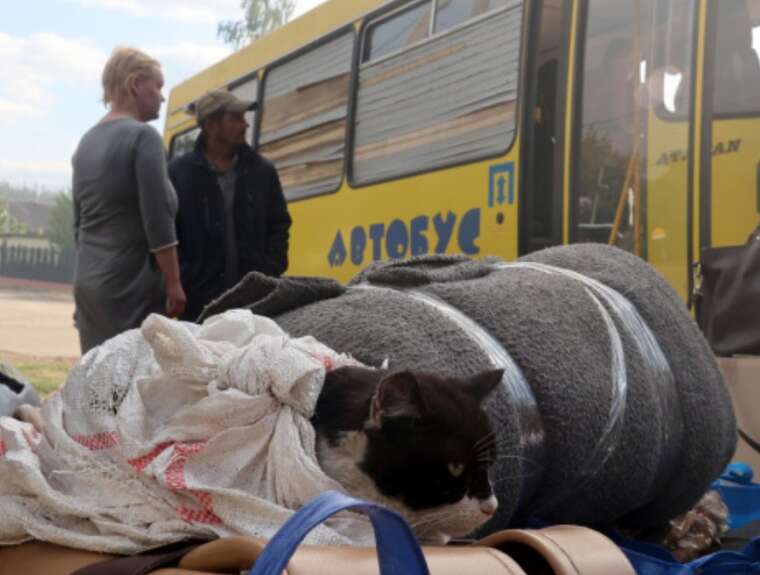 В Херсоне из микрорайона Корабел уже эвакуировано 1641 человек