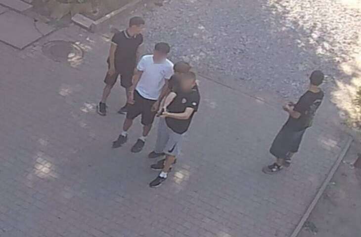 У центрі Кривого Рогу підлітки стріляли з пневматичного пістолета по тваринах