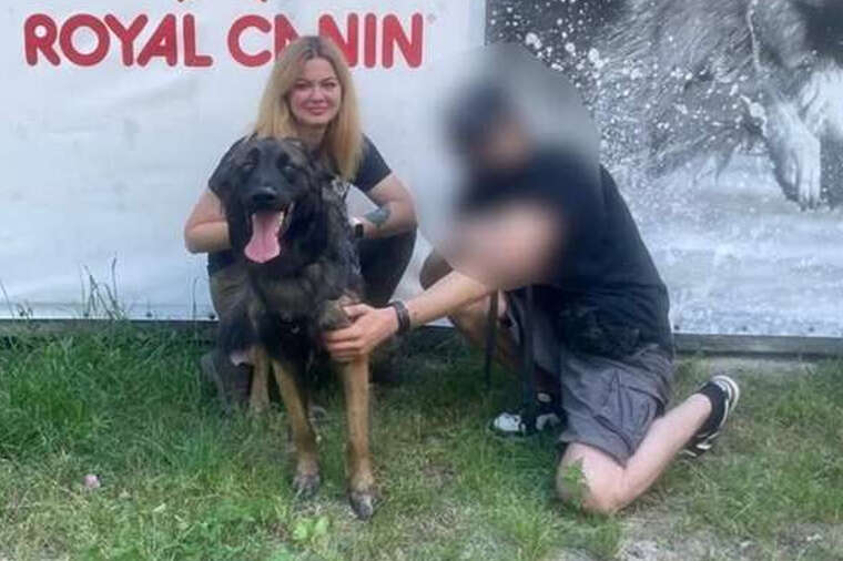 Француз загубився, але знайшовся: у Київській області врятували бойового собаку легіонера