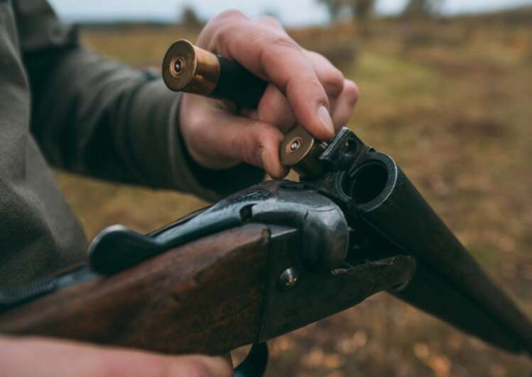 На Львівщині пенсіонер застрелив собаку сусідки: відкрито кримінальне провадження