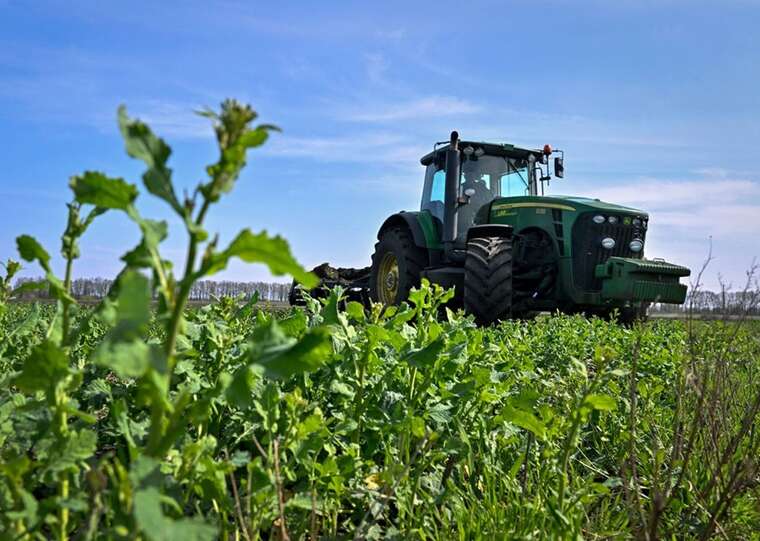 In the Zhytomyr region, a scheme for selling crops from radioactively contaminated lands was uncovered