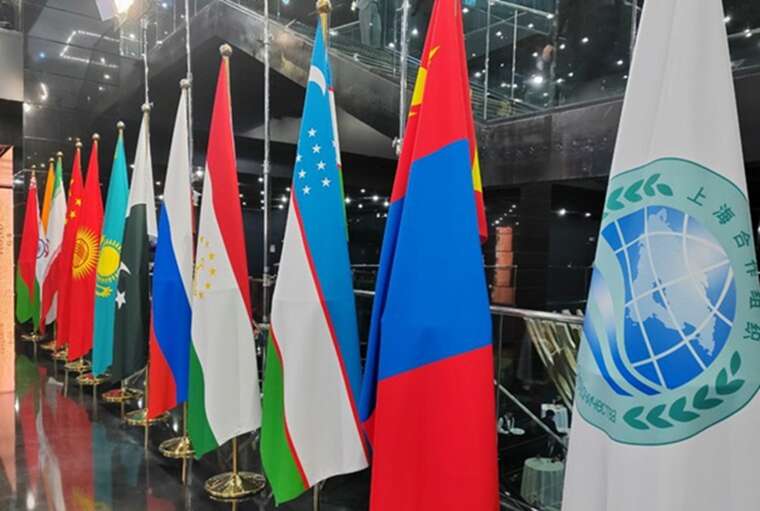 Зеленский и Моди скоординировали позиции перед саммитом Шанхайской организации сотрудничества