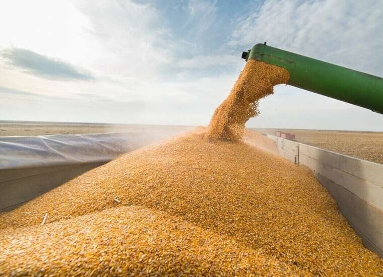 Київське «В агро» нарощує мільярдні доходи під час війни