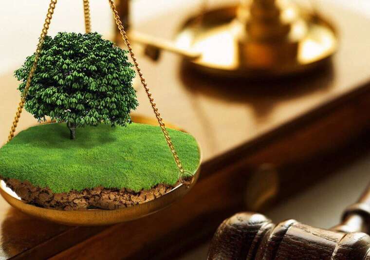 Волинські гектари під контролем: як оточення ексдепутата Покровського «розігрує» земельні аукціони біля кордону