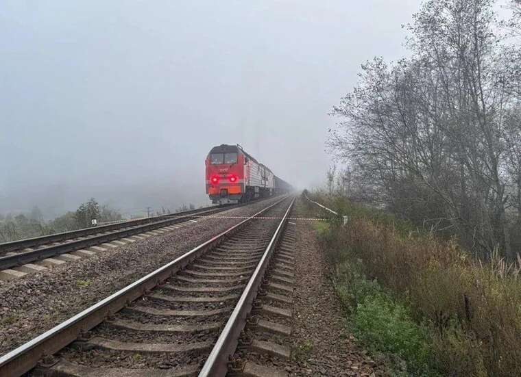 У Псковській області РФ підірвано залізницю біля станції Плюсса