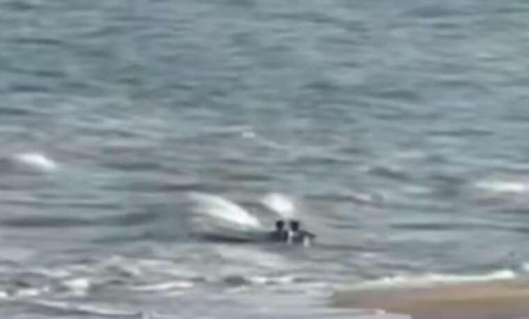 The discovery in Odesa: People found and manually retrieved a drone from the sea