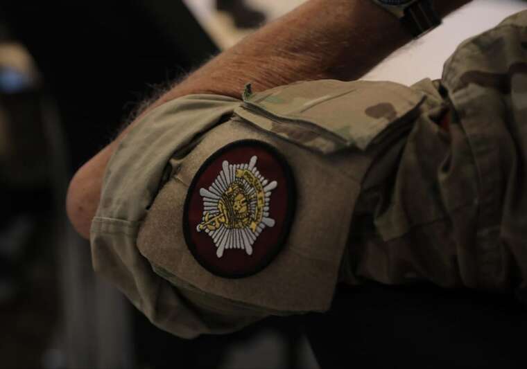 Українські військові беруть участь у спільних навчаннях із протидії дронам у Данії