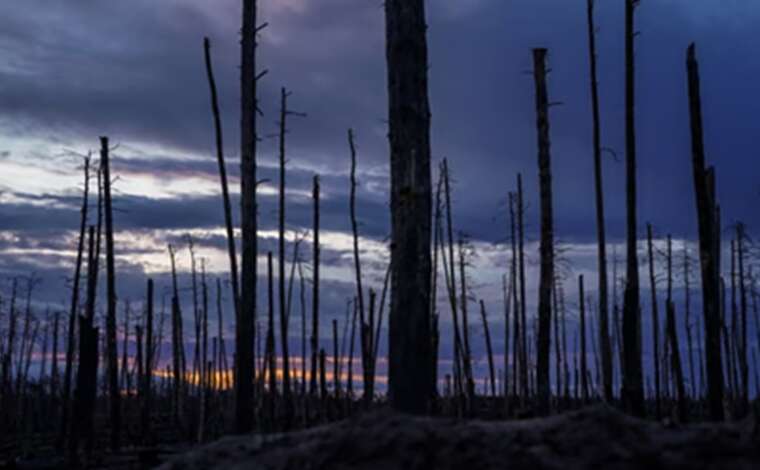 99.64% of the Luhansk region is occupied: The AFU repel attacks near the Serebryanske Forestry, — DeepState