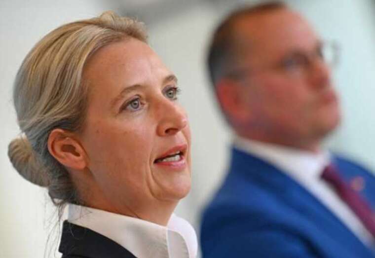 Лидер AfD Вайдель призвала Мерца мобилизоваться в ВСУ