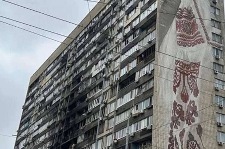 Двое котов ищут хозяев: Волонтеры спасли животных из дома, куда попал дрон