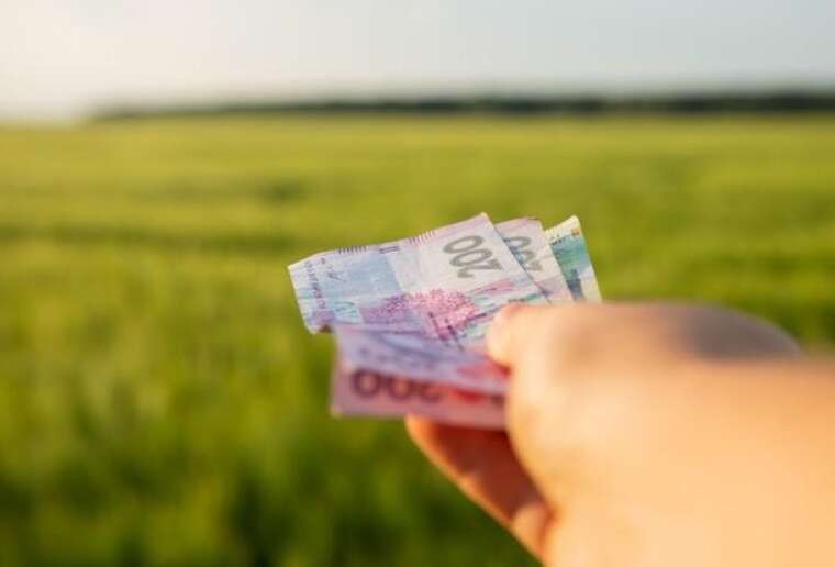 4000 гривень з кожного гектара: як «Агротранслогістика» обікрала ДП «Андріївське» на мільйони