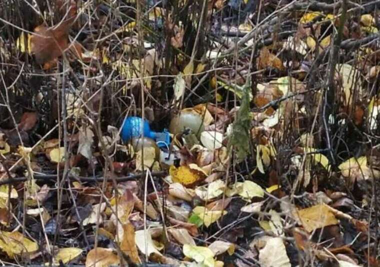 Три гранати біля вокзалу: на Чернігівщині енергетики виявили небезпечну знахідку