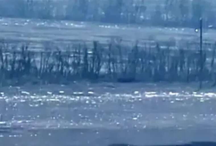 Покровський напрямок у павутинні війни: поля вкриті оптоволоконними кабелями від FPV-дронів