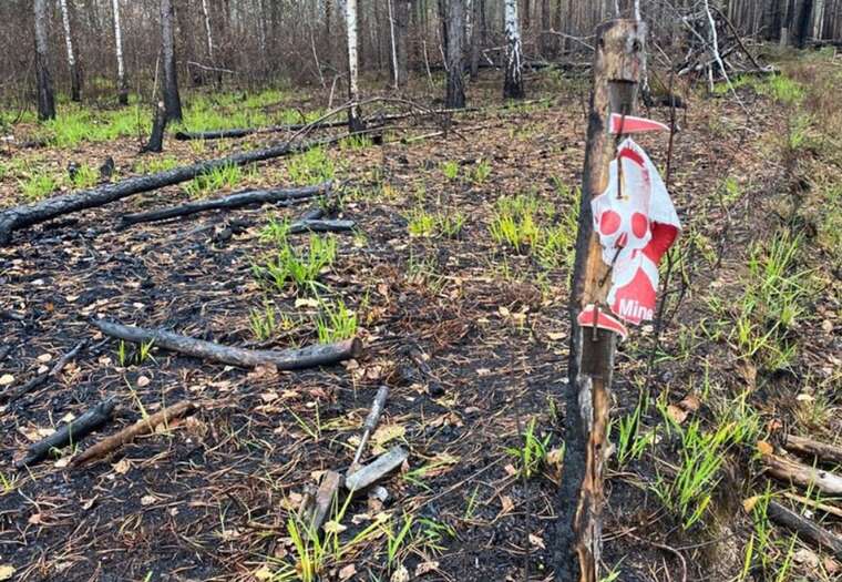 На Житомирщині два авто підірвалися на мінах: п’ятеро загиблих і троє поранених