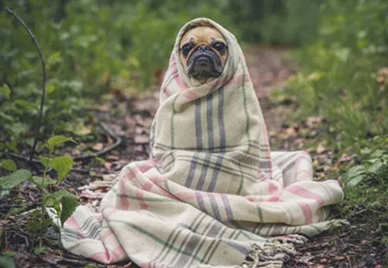 Синоптики попереджають про серйозне зниження температури 11-12 листопада, що може погіршити графіки відключень