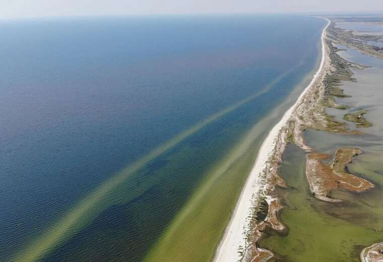 Бойові дії РФ знищили Кінбурнську косу та унікальний заповідник "Асканія-Нова", – речник ВМС ЗСУ