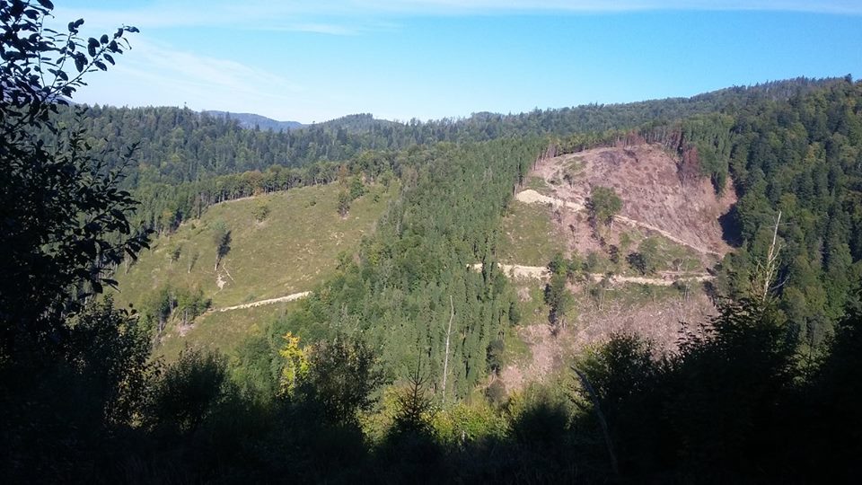 12088152_903569449729052_7045832195829235350_n dqxikeidqxidqeant