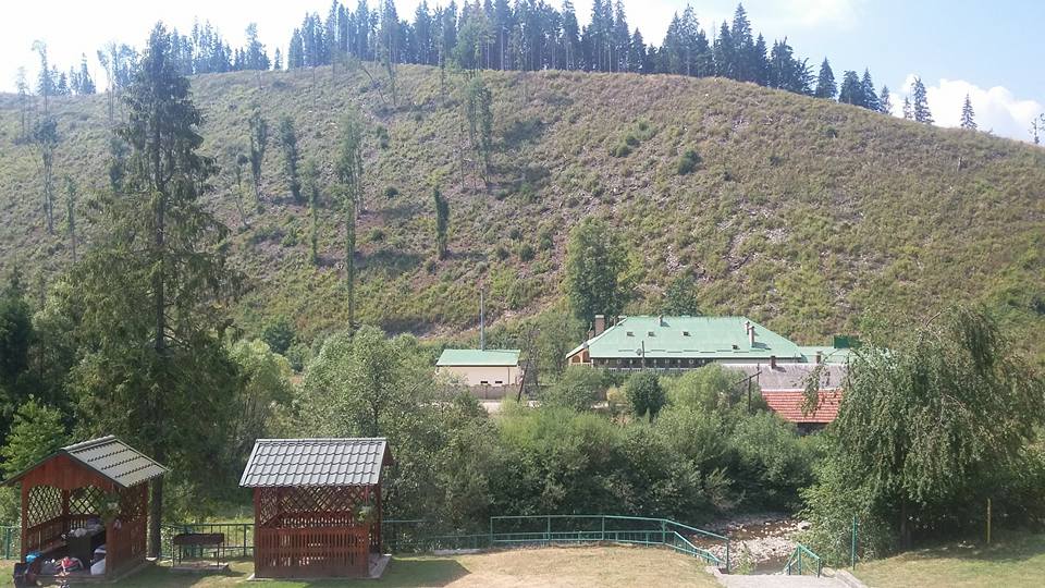 11026595_879133155506015_3140446839922485757_n