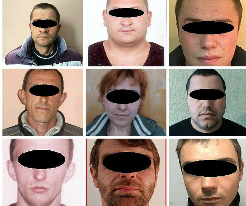 41 dqxikeidqxidqrant