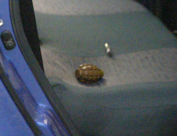 Лубни---граната-в-таксі-2 dqxikeidqxidqeant