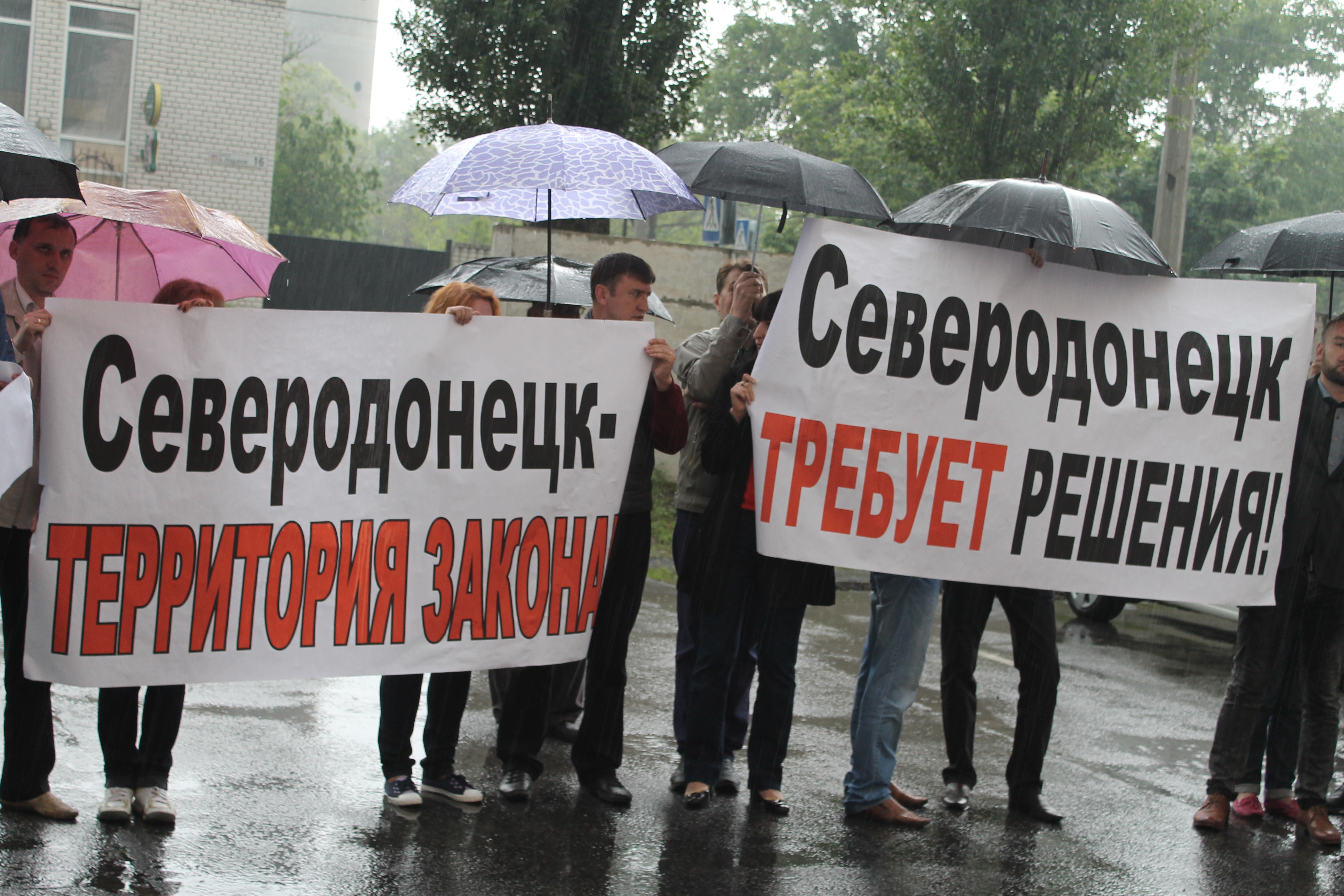 Odoo CMS- Sample image floating dqxikeidqxidqeant